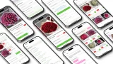 Цветочный интернет-магазин «Семицветик»